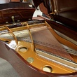 2008 Seiler Maestro 6'1 - Grand Pianos