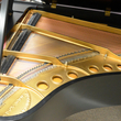 1956 Steinway Model M Grand Piano - Grand Pianos