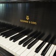 1919 Steinway Long A Grand Piano - Grand Pianos