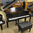 1919 Steinway Long A Grand Piano - Grand Pianos