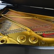 1919 Steinway Long A Grand Piano - Grand Pianos