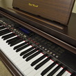 Technics digital ensemble piano - Digital Pianos