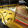 1910 Mason & Hamlin AA Grand Piano - Grand Pianos