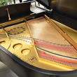 1910 Steinway Model O Grand Piano - Grand Pianos