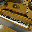 1913 The Swan Steinway. One of a Kind. - Grand Pianos