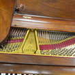 1905 Steinway Louis XV, Sketch 301 - Grand Pianos