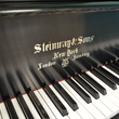 1907 Steinway Model B with Tulip Legs - Grand Pianos