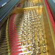 1907 Steinway Model B with Tulip Legs - Grand Pianos