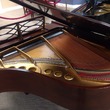 1987 Steinway Model M Chippendale Grand - Grand Pianos