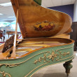 1889 Artcase Steinway. One-of-a-Kind masterpiece - Grand Pianos