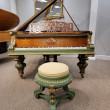 1889 Artcase Steinway. One-of-a-Kind masterpiece - Grand Pianos