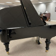 2004 Nordiska grand piano - Grand Pianos