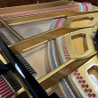 2004 Nordiska grand piano - Grand Pianos