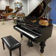 2004 Nordiska grand piano - Grand Pianos