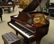 Hamburg Steinway Model M