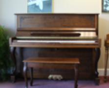 Young Chang professional upright