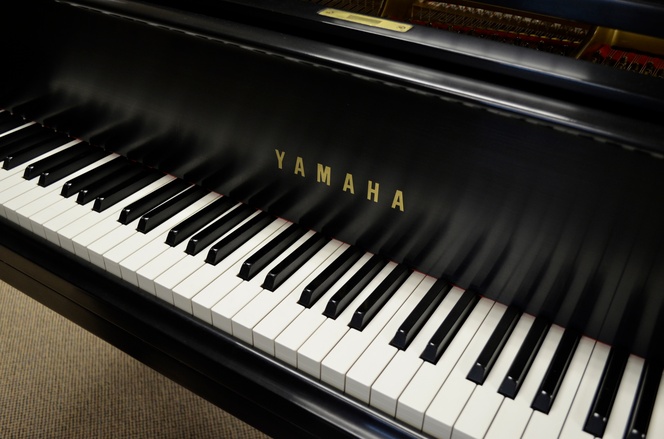 Yamaha cf series price new arrivals