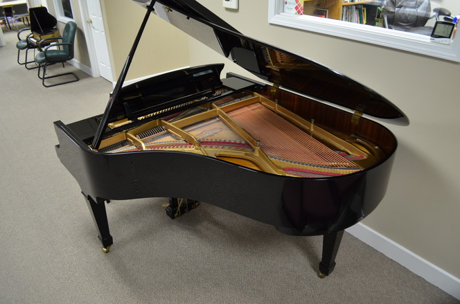 schafer and sons grand